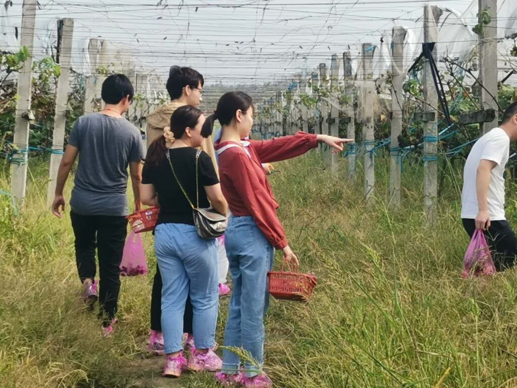 δPGӡ(йChina)ٷվZ6콢(й)ʱ - ǲ!z6comԼ | ղsϢƼɷ޹˾2025Ŷļ